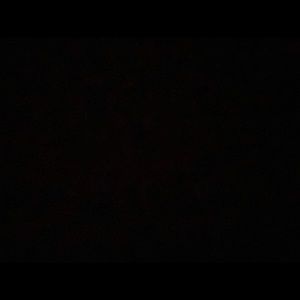 Meet your Posher, Peyton